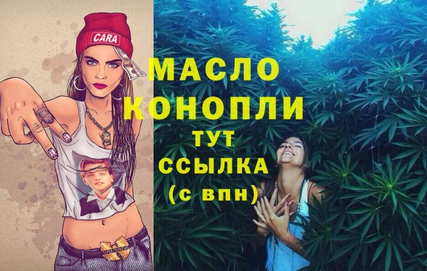 spice Аркадак