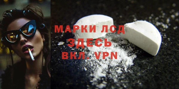 spice Аркадак