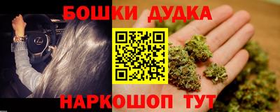 индика Лесосибирск