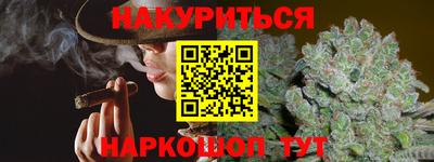 индика Лесосибирск