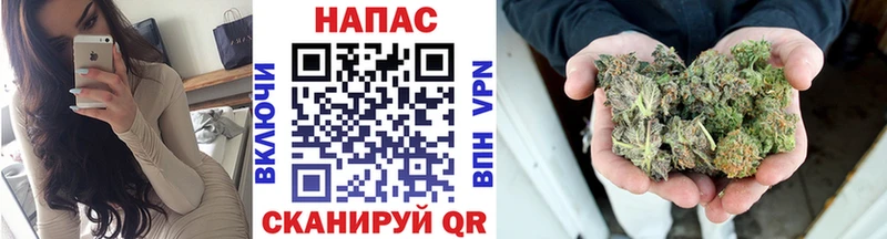 как найти закладки  Джанкой  Марихуана сатива 